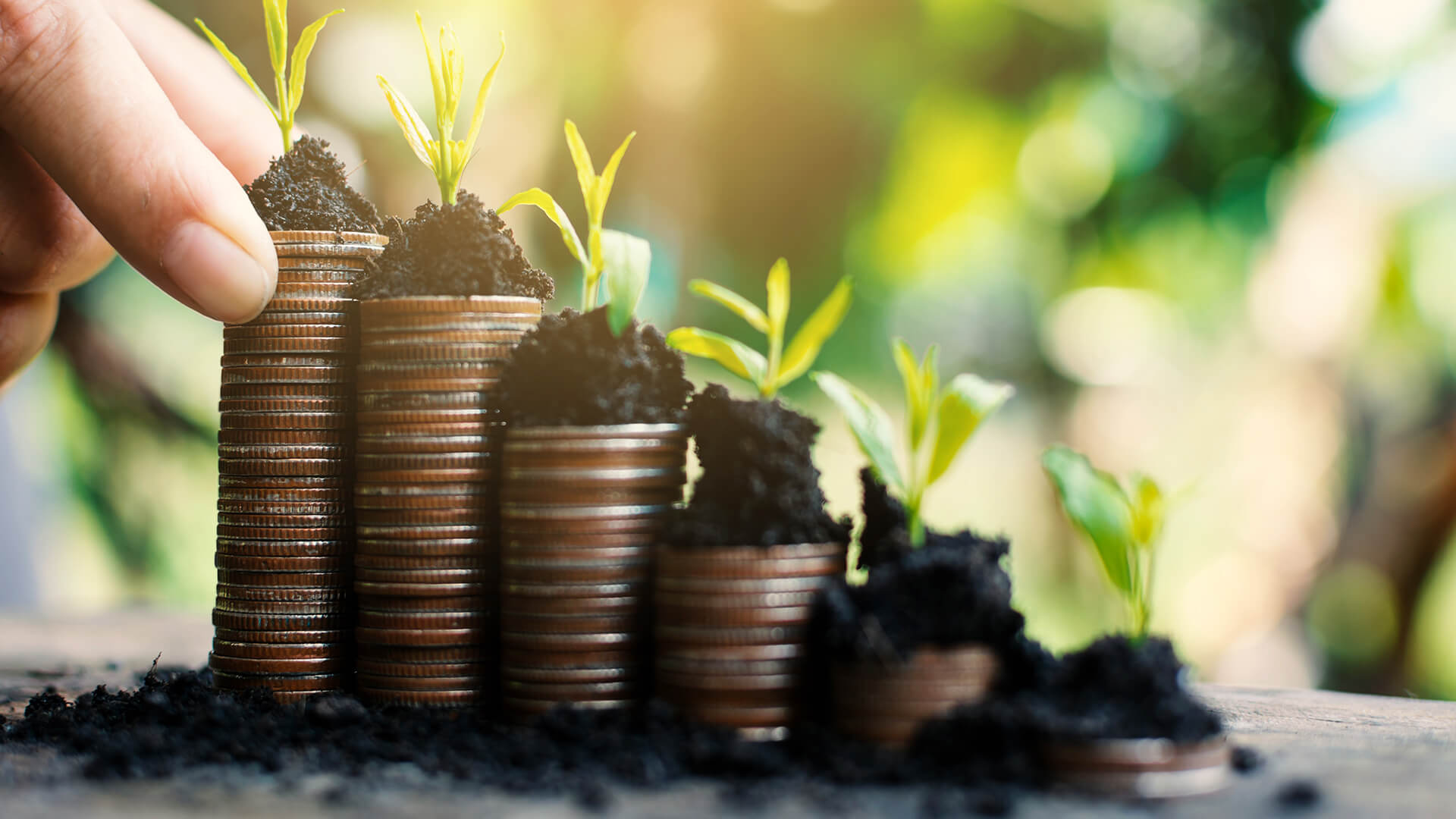 Mutual Funds